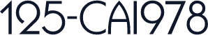 125-CAI978