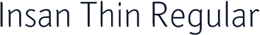 Insan Thin Regular