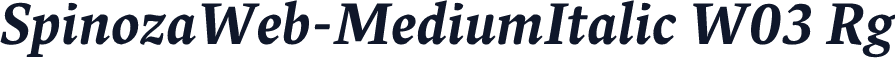 SpinozaWeb-MediumItalic W03 Rg