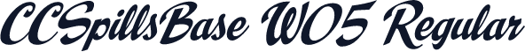 CCSpillsBase W05 Regular