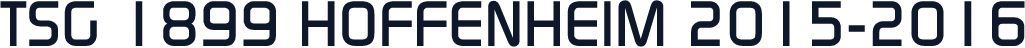 TSG 1899 Hoffenheim 2015-2016