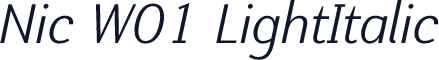 Nic W01 LightItalic
