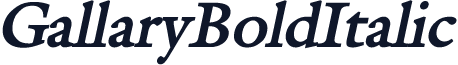 GallaryBoldItalic