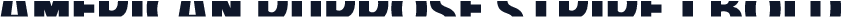 American Purpose STRIPE 1 Bold