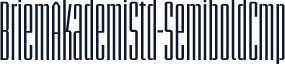 BriemAkademiStd-SemiboldCmp