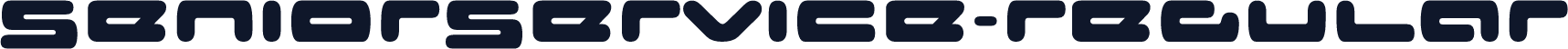 SeniorService-Regular
