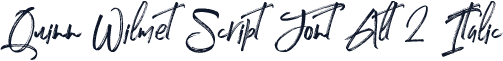 Quinn Wilmet Script Font Alt 2 Italic