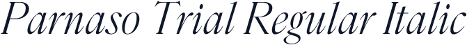 Parnaso Trial Regular Italic