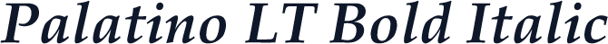 Palatino LT Bold Italic