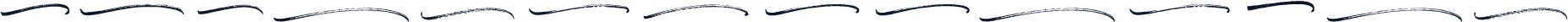 BrushwellSwash