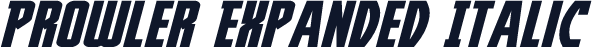 Prowler Expanded Italic