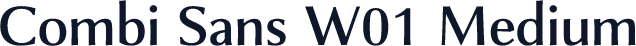 Combi Sans W01 Medium
