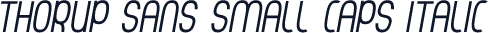 Thorup Sans Small Caps Italic