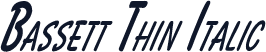 Bassett Thin Italic