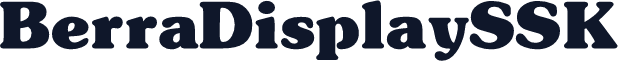 BerraDisplaySSK