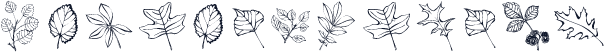 ArborisFolium