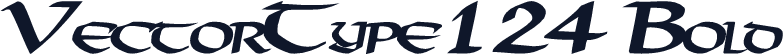 VectorType124 Bold
