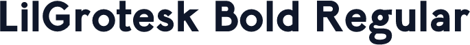 LilGrotesk Bold Regular
