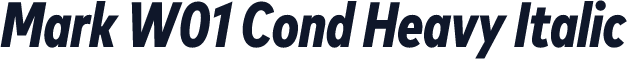 Mark W01 Cond Heavy Italic