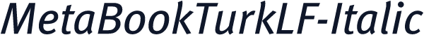 MetaBookTurkLF-Italic