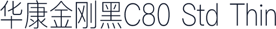 华康金刚黑C80 Std Thin
