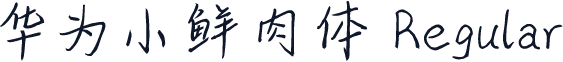 华为小鲜肉体 Regular