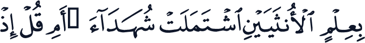 QCF_P147