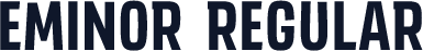 EMINOR Regular