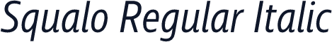 Squalo Regular Italic