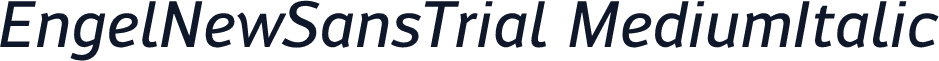 EngelNewSansTrial MediumItalic