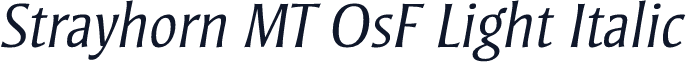 Strayhorn MT OsF Light Italic