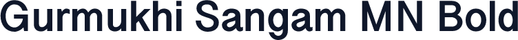 Gurmukhi Sangam MN Bold