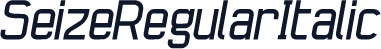 SeizeRegularItalic