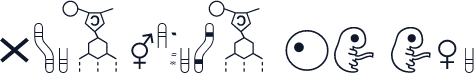 Biosymbols LT Two