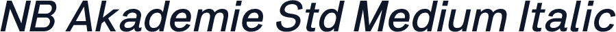 NB Akademie Std Medium Italic