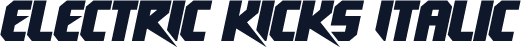 electrIc kIckS Italic