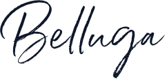Belluga