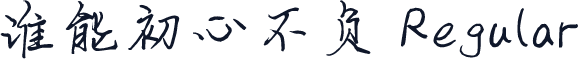 谁能初心不负 Regular