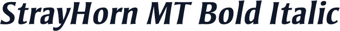 StrayHorn MT Bold Italic