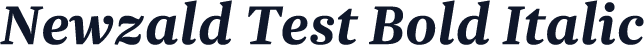 Newzald Test Bold Italic
