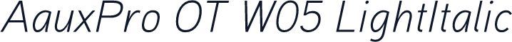 AauxPro OT W05 LightItalic
