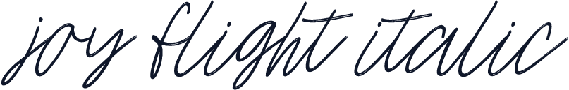 joy flight italic