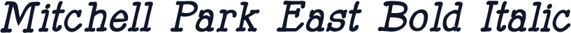Mitchell Park East Bold Italic