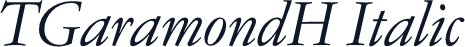 TGaramondH Italic