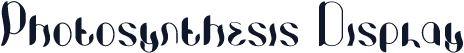 Photosynthesis Display