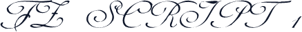 FZ SCRIPT 1