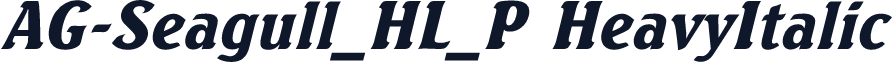 AG-Seagull_HL_P HeavyItalic