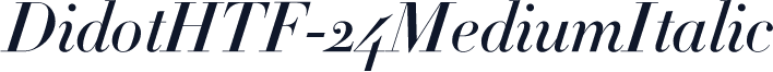 DidotHTF-24MediumItalic