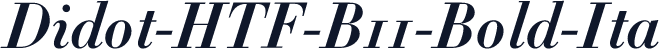 Didot-HTF-B11-Bold-Ita