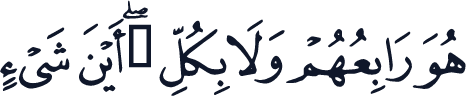 QCF_P543